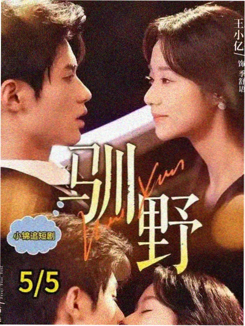风起南屿 都市剧在线观看